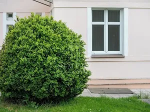 Prodej činžovního domu, Říčany, Legií, 500 m2