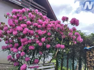 Prodej rodinného domu, Starý Plzenec, 80 m2