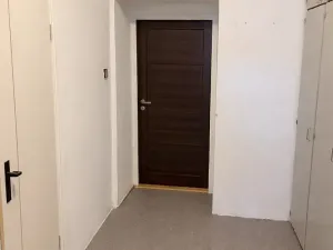 Pronájem bytu 1+1, Brno, bratří Čapků, 55 m2