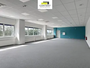 Pronájem výrobních prostor, Most, Kabátnická, 46000 m2