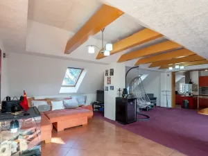 Prodej rodinného domu, Šestajovice, 325 m2