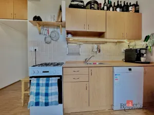 Pronájem bytu 2+1, Opava - Předměstí, Haškova, 51 m2