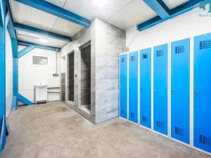 Pronájem výrobních prostor, Přerov, 510 m2