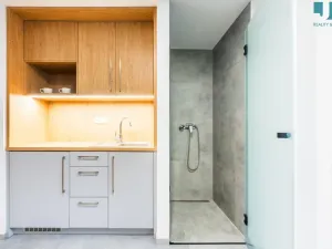 Pronájem výrobních prostor, Přerov, 510 m2