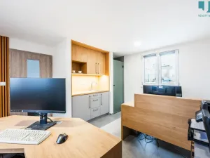 Pronájem výrobních prostor, Přerov, 510 m2