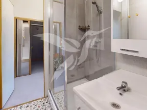 Pronájem bytu 1+1, Plzeň, Skupova, 38 m2