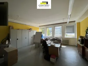 Pronájem skladu, Ústí nad Labem - Krásné Březno, Přístavní, 1173 m2