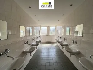 Pronájem skladu, Ústí nad Labem - Krásné Březno, Přístavní, 1173 m2