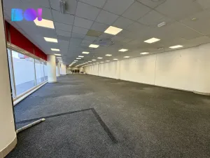 Pronájem obchodního prostoru, Karviná - Fryštát, tř. 17. listopadu, 428 m2