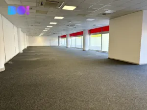 Pronájem obchodního prostoru, Karviná - Fryštát, tř. 17. listopadu, 428 m2