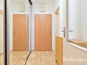 Pronájem bytu 1+kk, Brno - Staré Brno, Trýbova, 34 m2