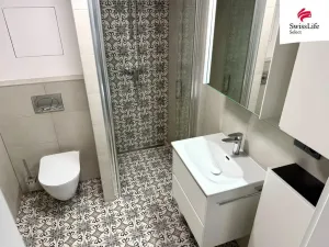 Pronájem bytu 1+kk, Plzeň, Pilařská, 45 m2