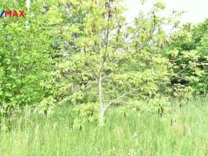 Prodej pozemku pro bydlení, Nový Bydžov - Vysočany, 4580 m2