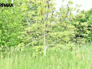 Prodej pozemku pro bydlení, Nový Bydžov - Vysočany, 4580 m2