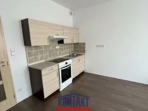 Pronájem bytu 1+kk, České Budějovice, Nová, 53 m2