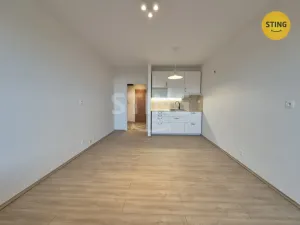 Pronájem bytu 1+kk, Ostrava, Čujkovova, 28 m2