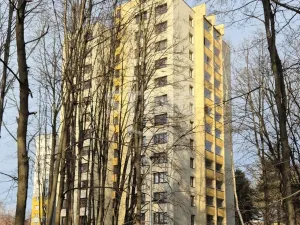 Pronájem bytu 1+kk, Ostrava, Čujkovova, 28 m2