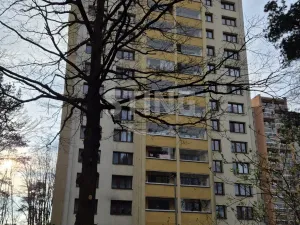 Pronájem bytu 1+kk, Ostrava, Čujkovova, 28 m2