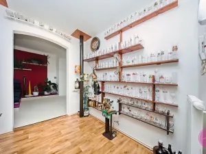 Prodej bytu 3+1, Olomouc, Palackého, 127 m2