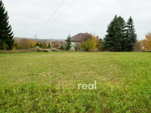Prodej pole, Bučovice - Vícemilice, 791 m2