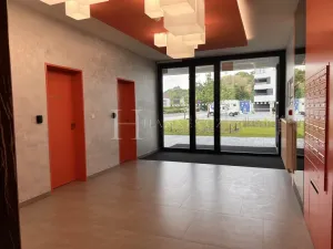 Pronájem bytu 2+kk, Praha - Karlín, U Sluncové, 65 m2