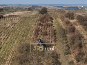 Prodej pozemku, Brumovice, 4065 m2