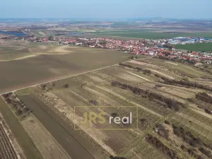 Prodej pozemku, Brumovice, 4065 m2