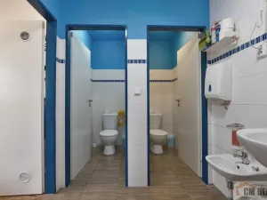 Pronájem kanceláře, Prostějov, Netušilova, 76 m2