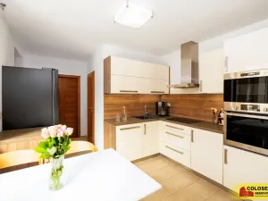 Prodej rodinného domu, Lovčičky, 239 m2