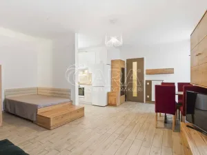 Prodej bytu 1+kk, Praha - Žižkov, Na Vackově, 38 m2