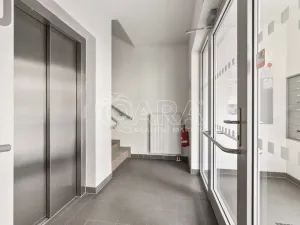 Prodej bytu 1+kk, Praha - Žižkov, Na Vackově, 38 m2