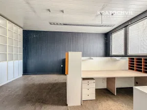 Pronájem výrobních prostor, Praha - Zbraslav, 463 m2