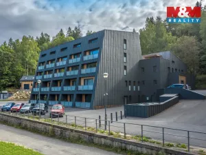 Prodej bytu 1+kk, Janov nad Nisou, 29 m2