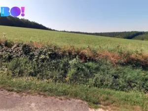 Prodej pole, Uherský Brod, 43866 m2