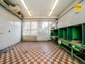 Pronájem komerční nemovitosti, Ostrava, Paskovská, 556 m2