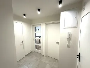 Prodej bytu 2+kk, Praha - Vinohrady, Záhřebská, 46 m2