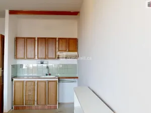 Prodej bytu 1+kk, Ostrava - Poruba, Francouzská, 27 m2