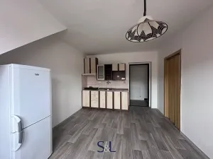 Pronájem bytu 1+1, Roudnice nad Labem, Riegrova, 37 m2