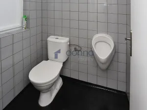 Pronájem obchodního prostoru, Praha, Plaská, 86 m2