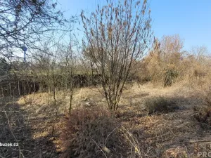 Prodej pozemku pro bydlení, Uničov, 497 m2