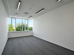 Pronájem kanceláře, Brno, Jana Babáka, 227 m2