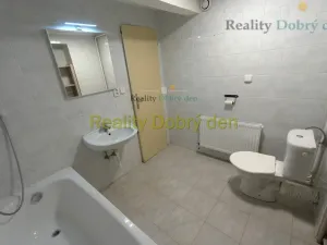 Pronájem bytu 1+1, Opava, Bochenkova, 55 m2