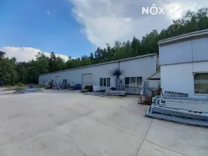 Pronájem výrobních prostor, Kralovice, 700 m2
