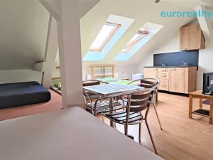 Prodej ubytování, Plzeň, Lindauerova, 700 m2