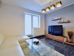 Pronájem bytu 2+kk, Brno - Královo Pole, Palackého třída, 56 m2