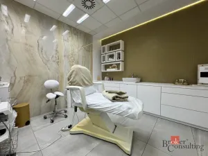 Pronájem komerční nemovitosti, Plzeň - Severní Předměstí, Otýlie Beníškové, 11 m2