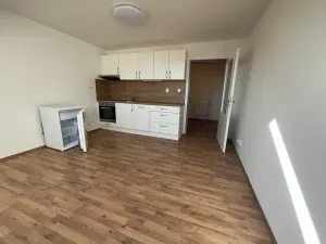 Pronájem bytu 1+kk, Brno, Vlhká, 31 m2
