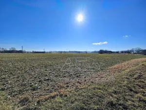 Prodej pole, Vodňany, Stožická, 3872 m2