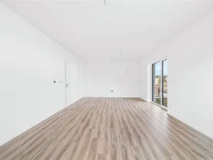 Prodej rodinného domu, Líně, Družstevní, 100 m2