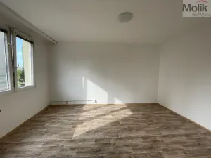 Pronájem bytu 1+1, Litvínov - Horní Litvínov, B. Němcové, 35 m2